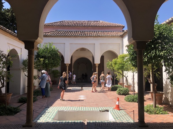 IMG_0320.jpg IMG 0320