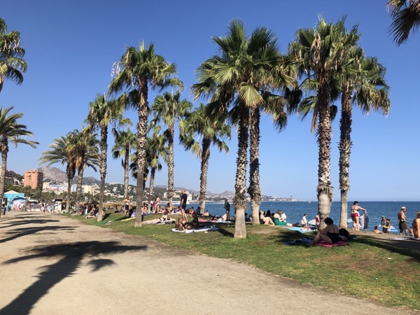 IMG_0465.jpg IMG 0465