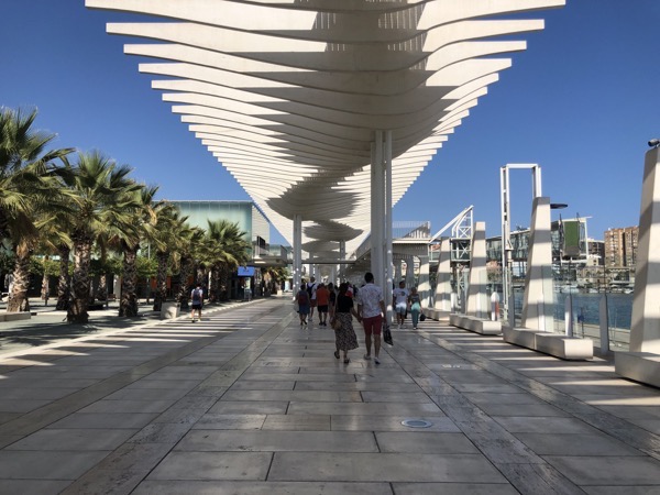 IMG_0502.jpg IMG 0502