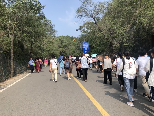 IMG_6423.jpg IMG 6423