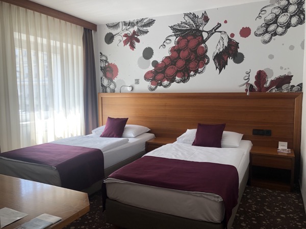 IMG_9050.jpg IMG 9050