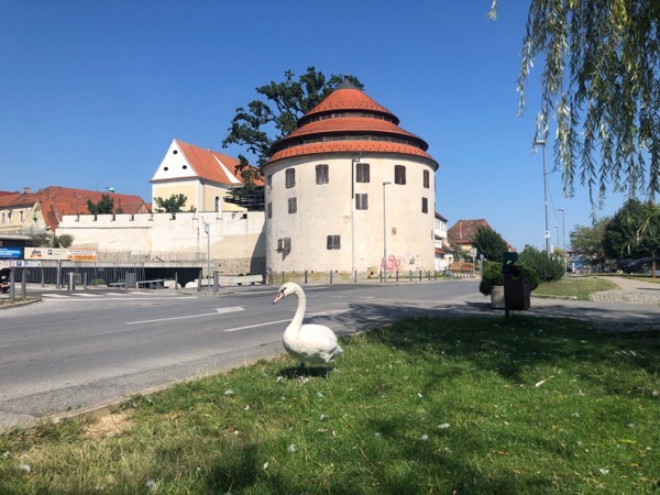 IMG_9113.jpg IMG 9113