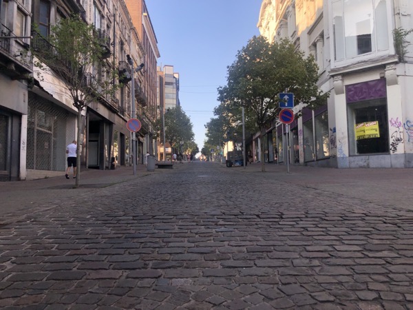 IMG_9527.jpg IMG 9527