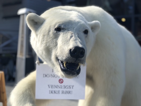 IMG_9568.jpg IMG 9568