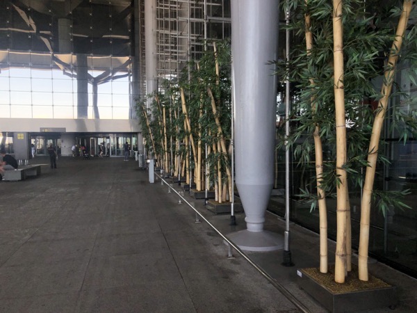 IMG_0943.jpg IMG 0943