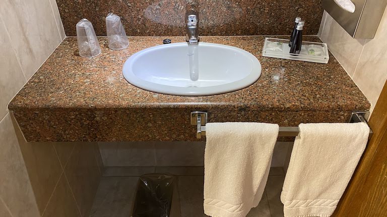 Holiday Inn モンテビデオ シンク