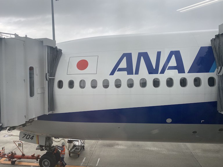 ANA機体ロゴ