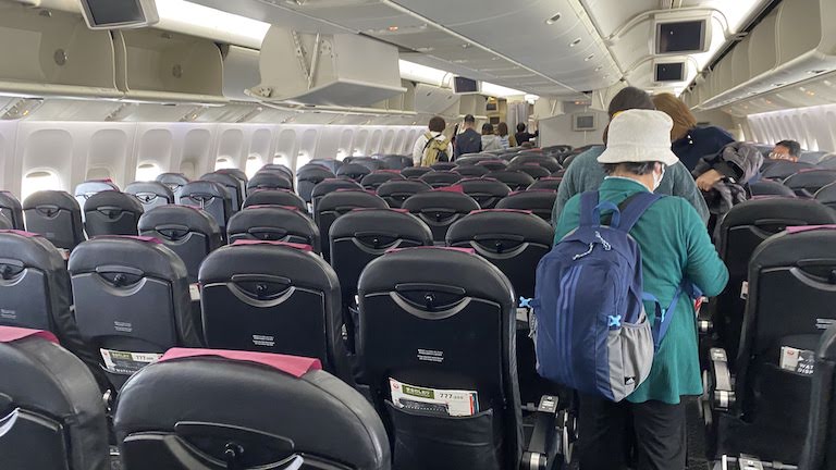 JAL国内線シート